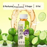 Drink Beverage Supplier - 0 Sugar Prune Oolong Tea 450ml