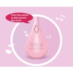 Music Lollipop Supplier - Audio Singing Sugar Free Children's