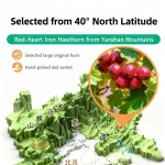 Self Heating Meal Supplier - Convenient 5 Flavors Hotpot Spicy