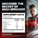 Creatine Gummies Supplier - 5000MG Muscle Gain Strength