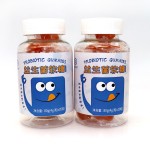 Freeze Dried Fruit Supplier - Chocolate Covered Strawberry