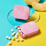 Chewing Gum Manufacturer - Custom Wrapper Multi Color Fruit