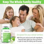 Juice Gummies Supplier - Rich in Iron 80g Soft Candy