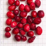 Freeze Dried Cranberry Manufacturer - Wholesale Natural Pure Dried