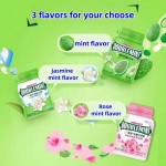 Mint Chewing Gum Manufacturer - Yida 56g 11 Flavors Boxed