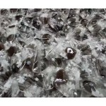 Probiotic Gummy Factory - 0 Preservatives Vegan Individual