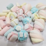 Freeze Dried Snack Manufacturer - OEM Crunchy Gummy Worms