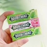 Sugar Free Mint Supplier - Various Flavors Easy Carry
