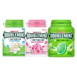 Mint Chewing Gum Manufacturer - Yida 56g 11 Flavors Boxed