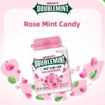 Mint Chewing Gum Manufacturer - Yida 56g 11 Flavors Boxed