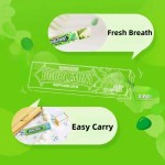 Sugar Free Mint Supplier - Various Flavors Easy Carry