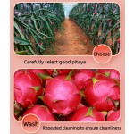 Dragon Fruit Supplier - Manufacturer Direct Sweet Taste Crispy