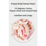 Freeze Dried Dragon Fruit Manufacturer - 100% Natural Red Pitaya