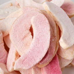 Freeze Dried Dragon Fruit Manufacturer - 100% Natural Red Pitaya