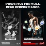 Creatine Gummies Supplier - 5000MG Muscle Gain Strength