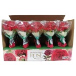 Art Lollipop Factory - Fruity Flavor Different Shapes Ice