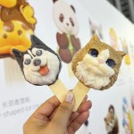 Ice Cream Supplier - 3D Animal Shapes Fruit Flavor Worldwide