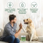 Pet Nutritioanal Supplements Green Lipped Dog Mussel Powder Hip and Joint Supplement for Dogs Cats