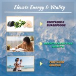 Wholesale Private Label Healthcare Supplement Shilajit Sea Moss Lions Mane Capsules Herbal Extract for Adult