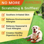 Natural Itchy Skin Relief Immune Chews Anti Seasonal Allergy Relief Dog Treats With Omega-3 for Dogs Skin & Coat Supplement