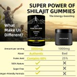 Hot Sale Private Label All in 1 Pure Himalayan Shilajit Gummies Ashwagaganda Boost Energy Fulvic Acid & 85+ Trace Minerals