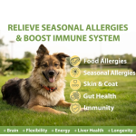 Allergy Relief Dog Treats Soft Chews Relief Immune Digestive Supplement Skin Coat Health Soft Chew for Dogs