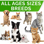 Dog Cat Supplements Calming Relax Chews for Dogs Composure Relaxation Soothing Stress Melatonin Anxiety Relief