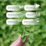 Wholesale Private Label 30ml Organic Vegan Wild Oregano Oil Liquid Boosts Immune Supports Oregano Drops