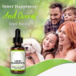 Dietary Supplements Wholesale Health Chlorophyll Liquid Drops Body Care Organic Bulk Chlorophyll Liquid for Cleanse Body