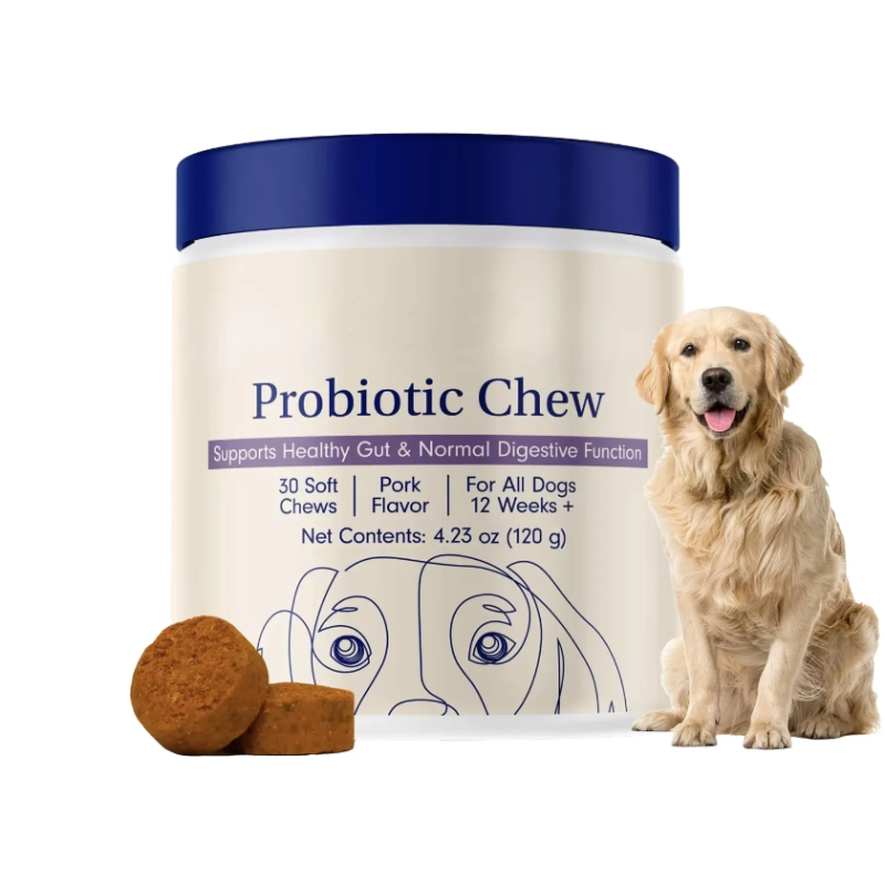 Digestive Enzymes Dog Cat Probiotic Soft Chews Probiotics for Dogs Health Diarrhea & Bowel Support Pet Supplement Chewable