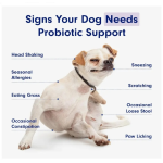Digestive Enzymes Dog Cat Probiotic Soft Chews Probiotics for Dogs Health Diarrhea & Bowel Support Pet Supplement Chewable