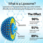 OEM 5-in-1 Liposomal NAD+ Liquid Drop Nicotinamide Riboside Resveratrol 900mg Quercetion Support Energy Focus