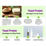 Food Grade Yeast Protein Isolate Supplement for Nutrition Baking Snacks Meat Grade Thickener Ingredients