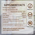 Wholesale Private Label Healthcare Supplement Shilajit Sea Moss Lions Mane Capsules Herbal Extract for Adult