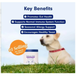Digestive Enzymes Dog Cat Probiotic Soft Chews Probiotics for Dogs Health Diarrhea & Bowel Support Pet Supplement Chewable