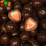 Freeze Dried Chocolate Supplier - Halal FD Strawberry Compound