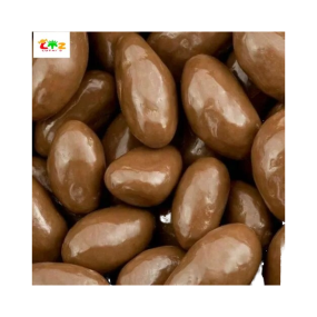 Milk Chocolate Raisins Factory - Italian Covered Nut Infused Bar