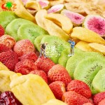 Fruit Crisp Slices Factory - FD Dried Snacks Mango Freeze Dried