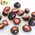 Freeze Dried Chocolate Supplier - Halal FD Strawberry Compound