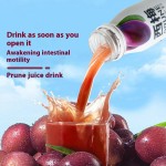 Fruit Puree Syrup Manufacturer - No Sugar Added Fiber Vitamins Bulk