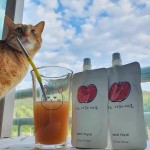 Fruit Juice Supplier - South Korea Imported TuttiFrutti Concentrate