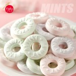 Mint Candy Supplier - Yafu Multi Flavor Fresh Breath Chewing