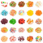 Gummy Bear Supplier - OEM Flavor Sweets Fruit Jelly Costume