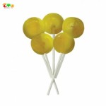 Fruit Lollipops Factory - 2025 Hot Selling Children Day Gift
