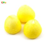 Freeze Dried Candy Factory - Customizable Color Size Fruit