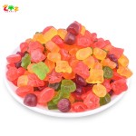 Gummy Bear Supplier - Fruity Sour Sweet Vitamin Halal Certified