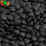 Chocolate Beans Factory - Colorful Egg Ball Cartoon Patterns