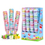 BBQ Candy Lollipops Factory - 25g Juicy Soft Chewy Skewered