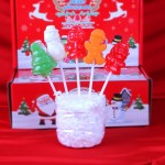 Christmas Lollipop Supplier - Hard Fruity Stick Holiday Gift