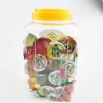 Fruit Jelly Factory - Mixed Taste Hard Texture Bottle Children